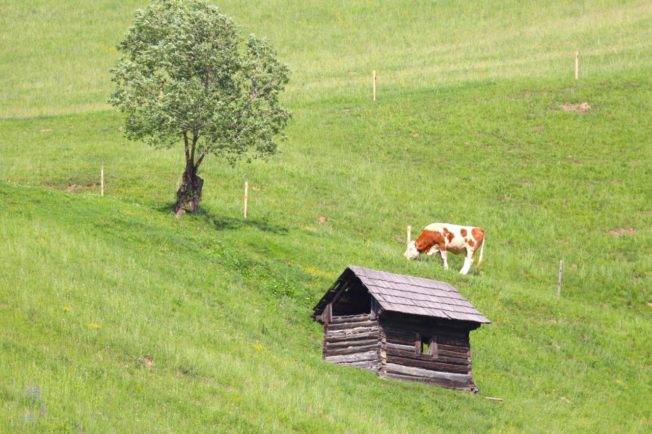 Flore'S Garden Glamping برانْ المظهر الخارجي الصورة