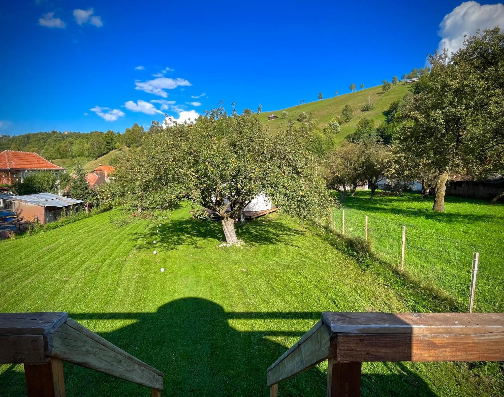 Flore'S Garden Glamping برانْ المظهر الخارجي الصورة